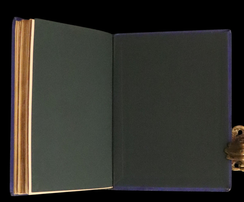 1873 Rare Book - Common Wayside Flowers Color Illustrated by Birket Foster