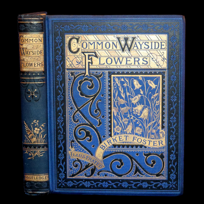 1873 Rare Book - Common Wayside Flowers Color Illustrated by Birket Foster