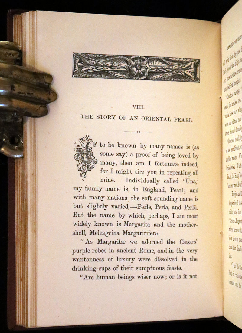 1872 Scarce book - The Fairy Tree; or, Stories from Far and Near by S. Moody