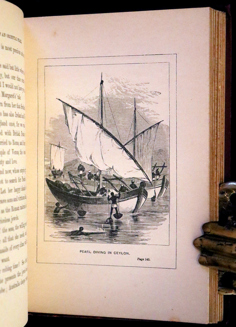 1872 Scarce book - The Fairy Tree; or, Stories from Far and Near by S. Moody