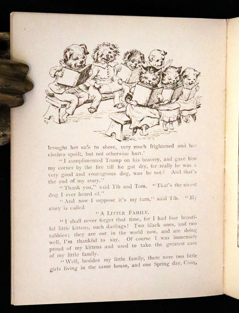 1900 Rare Book - The Cat and the Fiddle or Tib, Tabby and Tom by E. Vredenburg