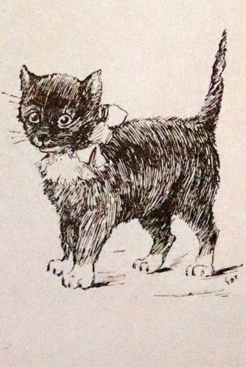 1900 Rare Book - The Cat and the Fiddle or Tib, Tabby and Tom by E. Vredenburg