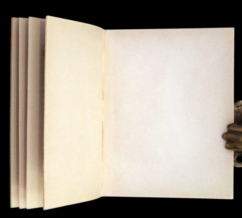 1900 Rare Book - The Cat and the Fiddle or Tib, Tabby and Tom by E. Vredenburg