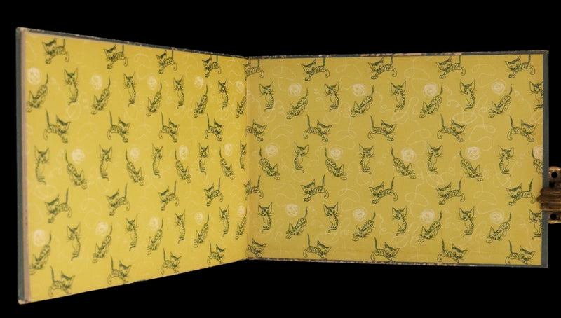 1953 First Edition - Pitschi the Kitten Who Always Wanted to be Something Else