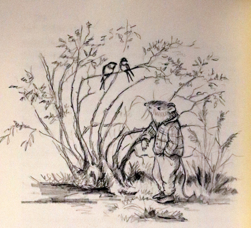 1966 Signed First Edition - The Wind in the Willows illustrated by Tasha Tudor