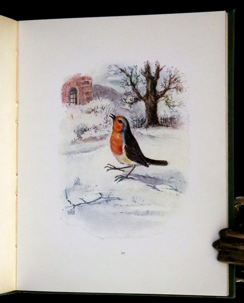 1920 First Illustrated Edition by Winifred M. Warne - The Robin's Christmas Eve