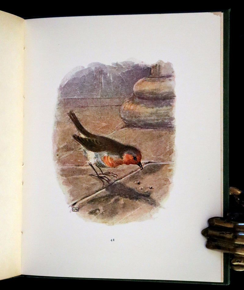 1920 First Illustrated Edition by Winifred M. Warne - The Robin's Christmas Eve