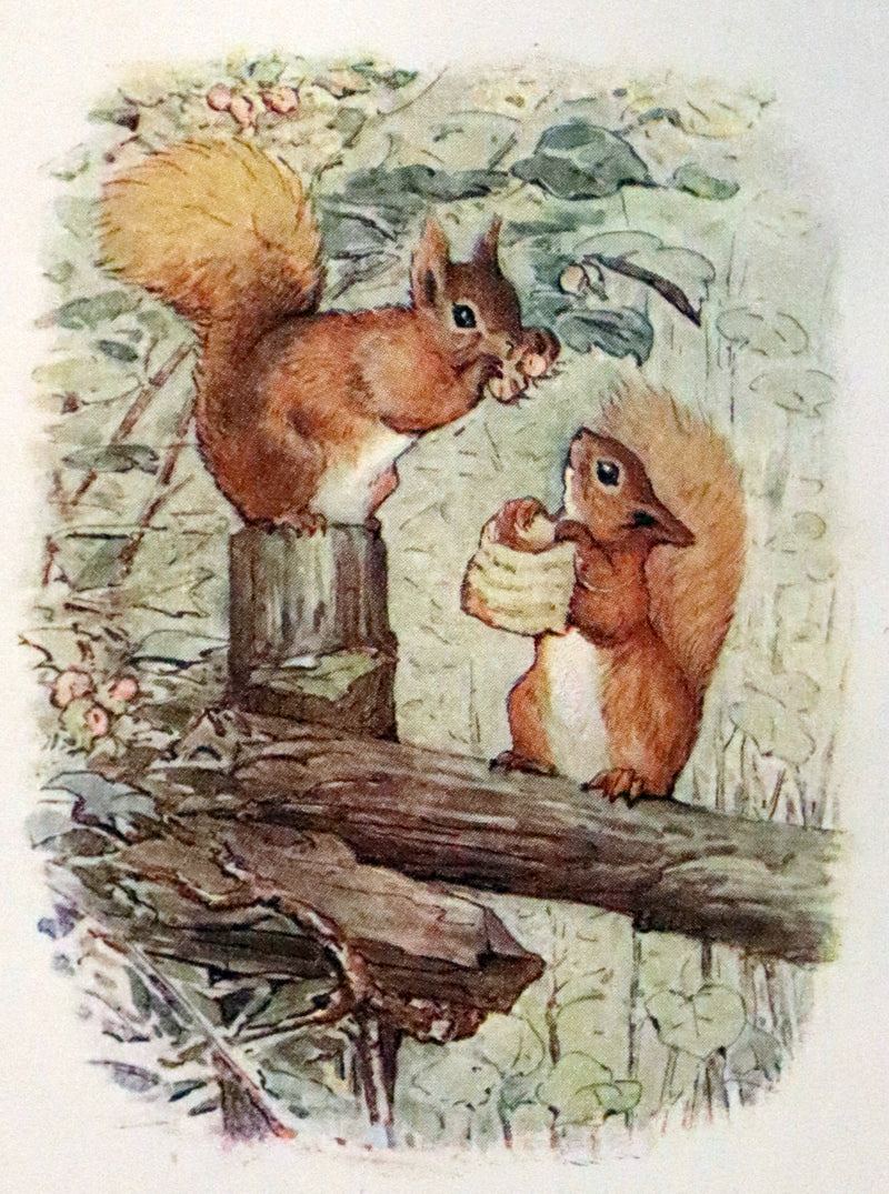 1910 Rare Book - The Tale of Squirrel Nutkin by Beatrix Potter