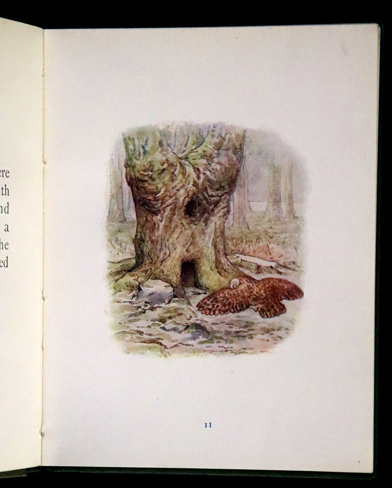1910 Rare Book - The Tale of Squirrel Nutkin by Beatrix Potter