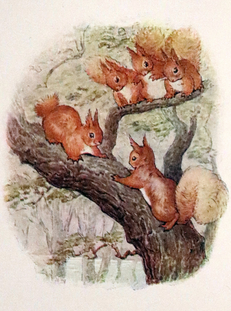 1910 Rare Book - The Tale of Squirrel Nutkin by Beatrix Potter