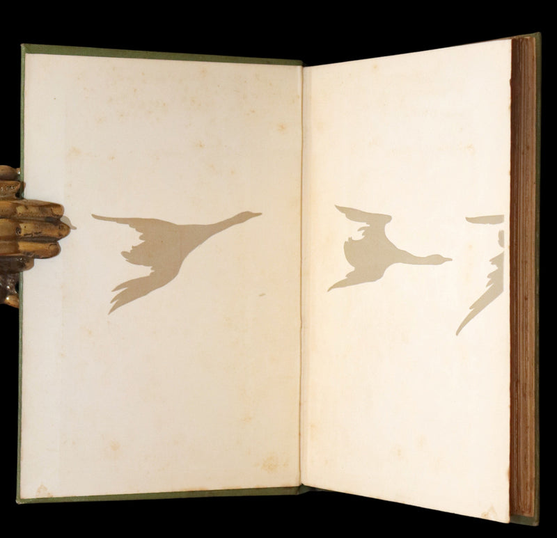 1905 Rare First Edition - The Cloud Kingdom Illustrated by Charles Robinson