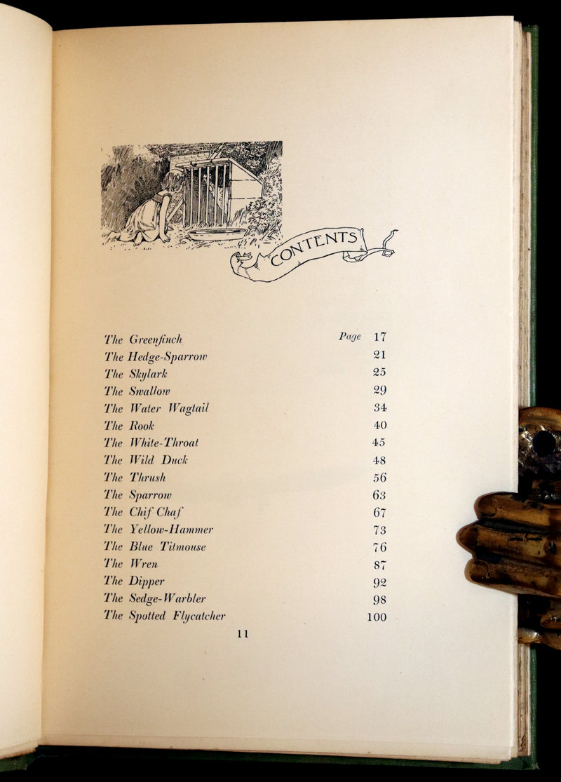 1905 Rare First Edition - The Cloud Kingdom Illustrated by Charles Robinson