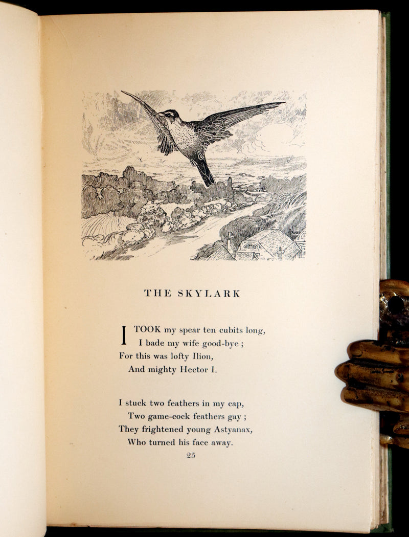 1905 Rare First Edition - The Cloud Kingdom Illustrated by Charles Robinson