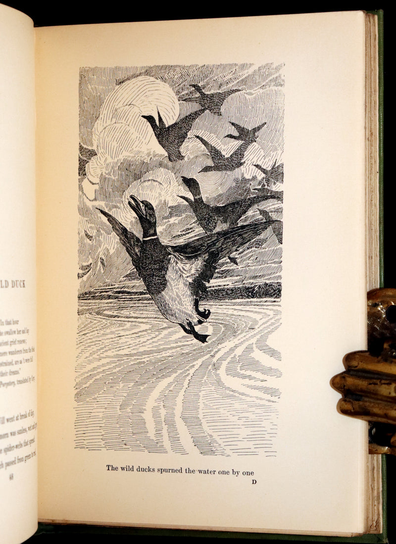 1905 Rare First Edition - The Cloud Kingdom Illustrated by Charles Robinson