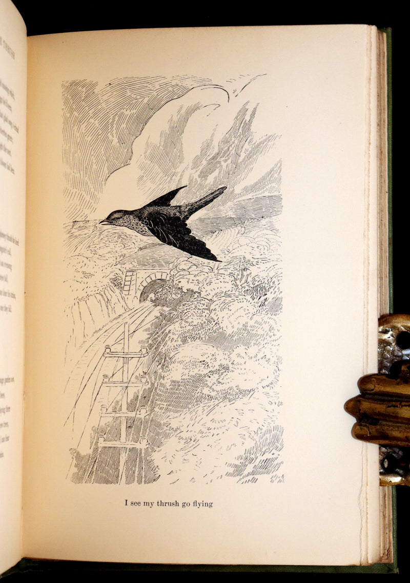 1905 Rare First Edition - The Cloud Kingdom Illustrated by Charles Robinson