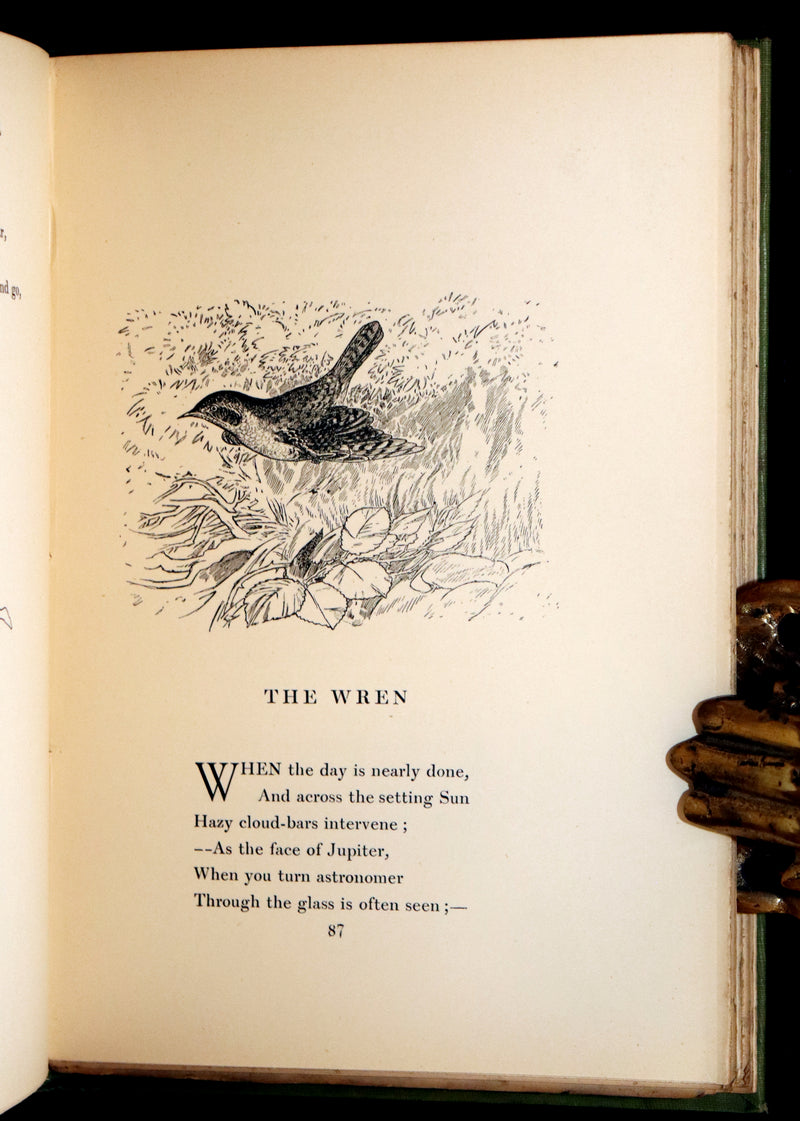 1905 Rare First Edition - The Cloud Kingdom Illustrated by Charles Robinson