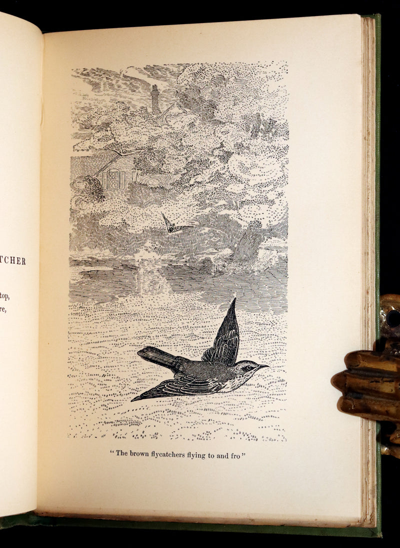 1905 Rare First Edition - The Cloud Kingdom Illustrated by Charles Robinson