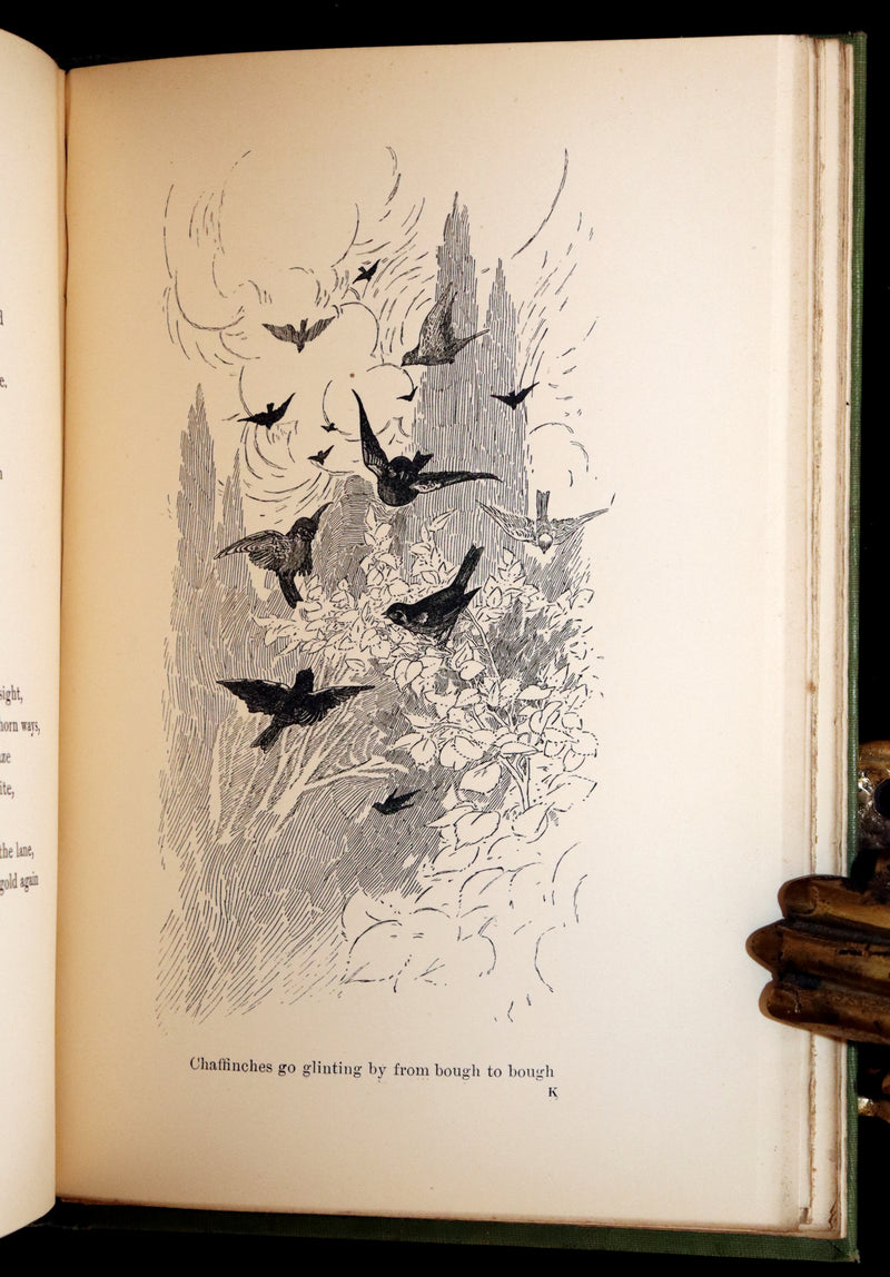 1905 Rare First Edition - The Cloud Kingdom Illustrated by Charles Robinson