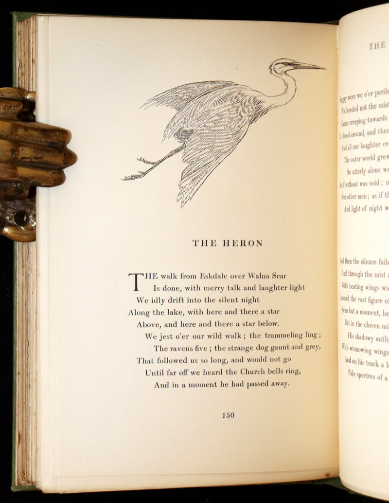 1905 Rare First Edition - The Cloud Kingdom Illustrated by Charles Robinson