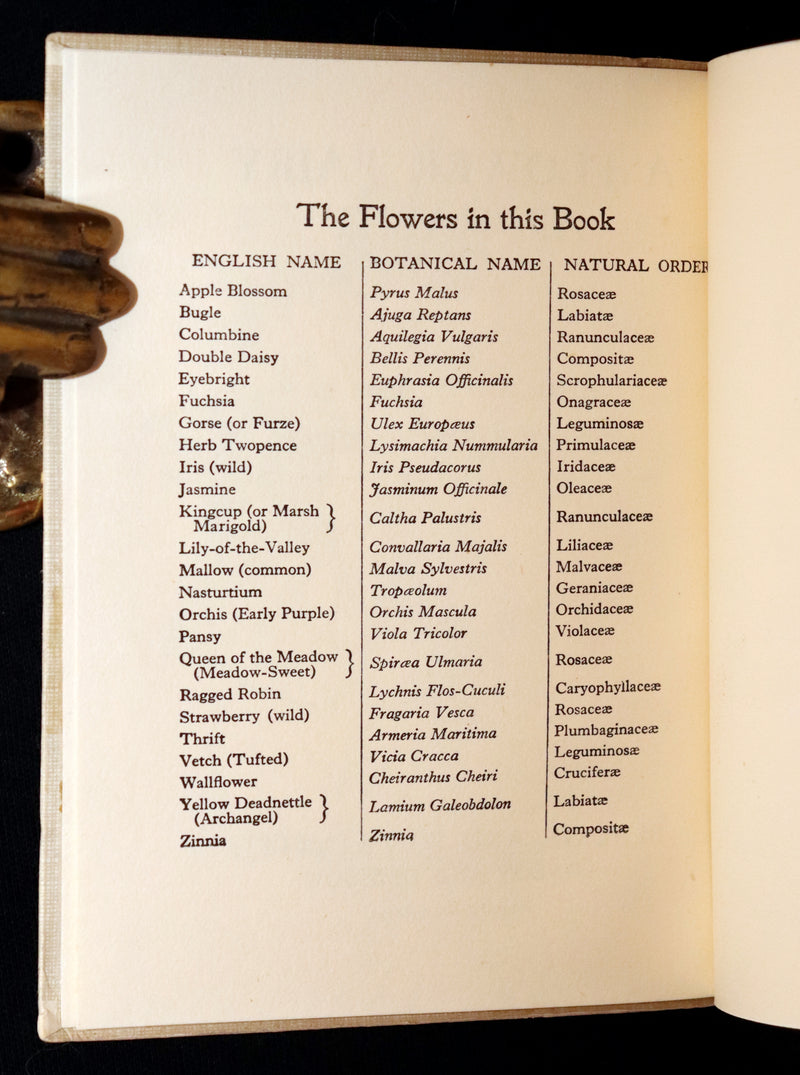 1950 Rare Book - A Flower Fairy Alphabet by Cicely Mary Barker