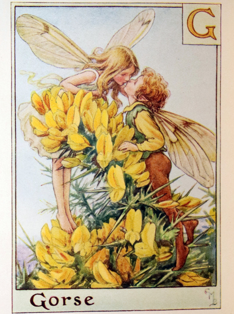 1950 Rare Book - A Flower Fairy Alphabet by Cicely Mary Barker