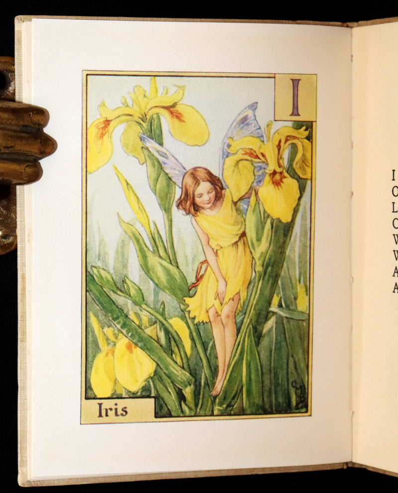 1950 Rare Book - A Flower Fairy Alphabet by Cicely Mary Barker