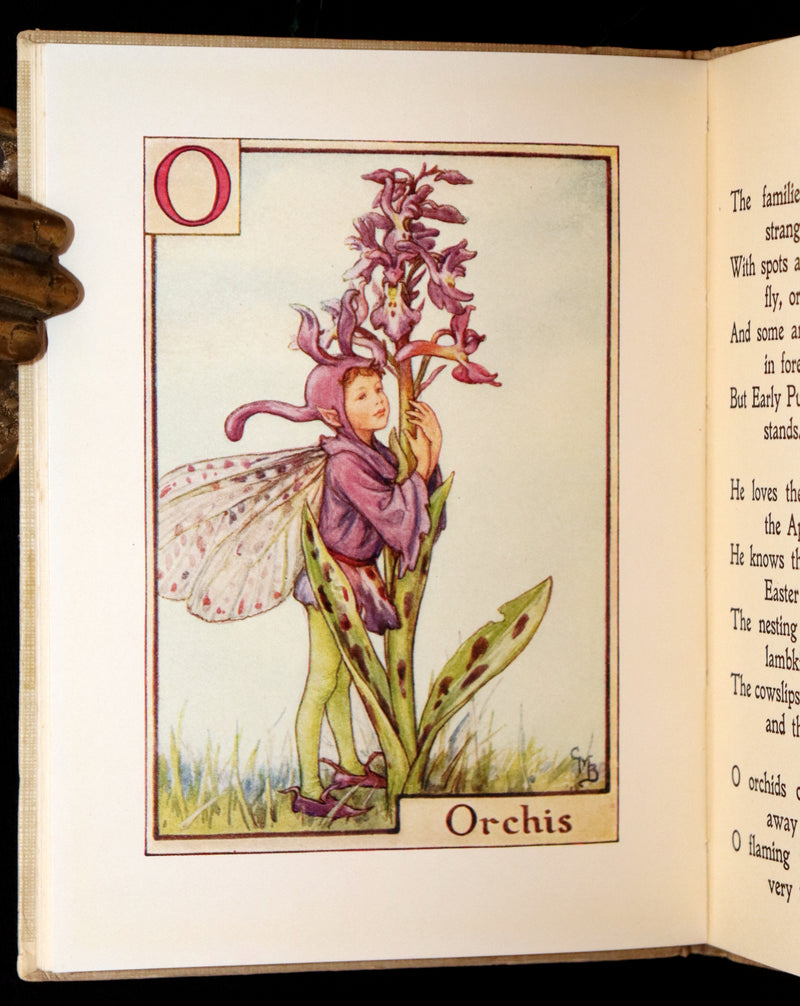 1950 Rare Book - A Flower Fairy Alphabet by Cicely Mary Barker