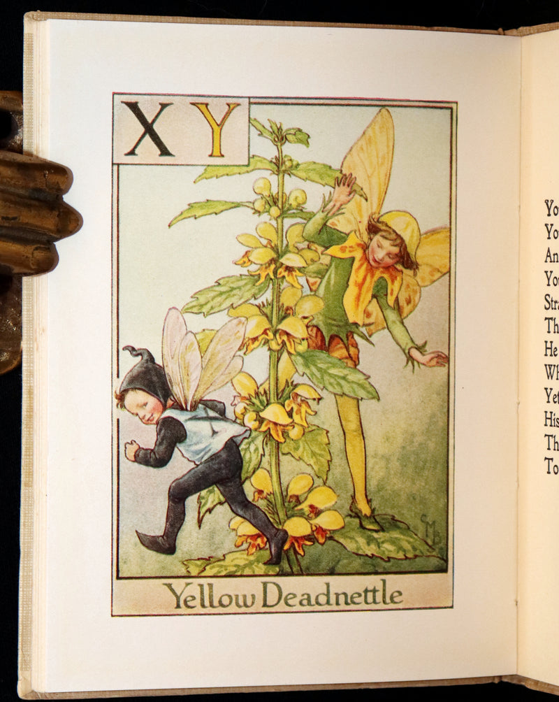 1950 Rare Book - A Flower Fairy Alphabet by Cicely Mary Barker