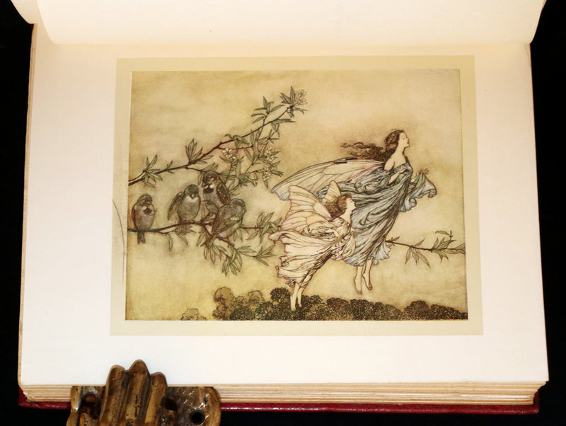 1910 First Deluxe Edition - Peter Pan in Kensington Gardens by Arthur Rackham