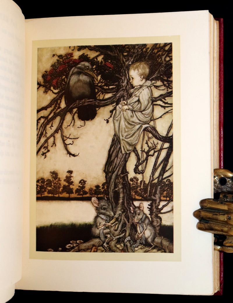 1910 First Deluxe Edition - Peter Pan in Kensington Gardens by Arthur Rackham