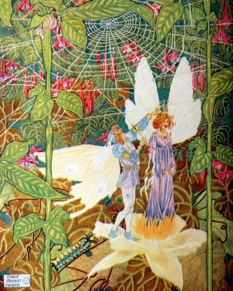 1923 Rare Book - Thumbelisa and Other Stories Illustrated by Dugald S. Walker