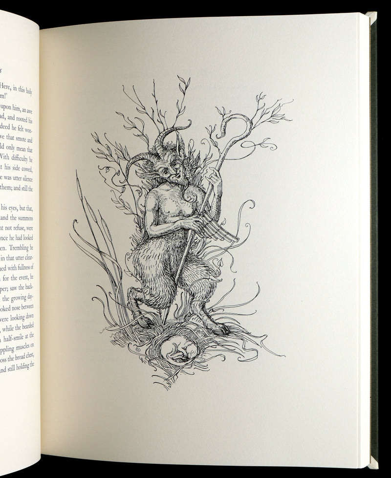 2008 Signed Limited First Edition - Wind in the Willows by Charles van Sandwyk