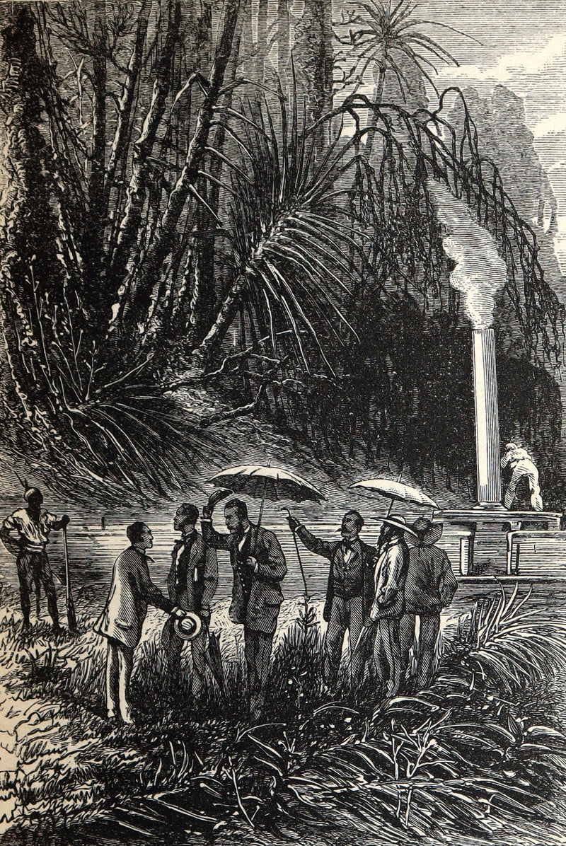 1874 First US Edition - Meridiana or Adventures in South Africa by Jules Verne