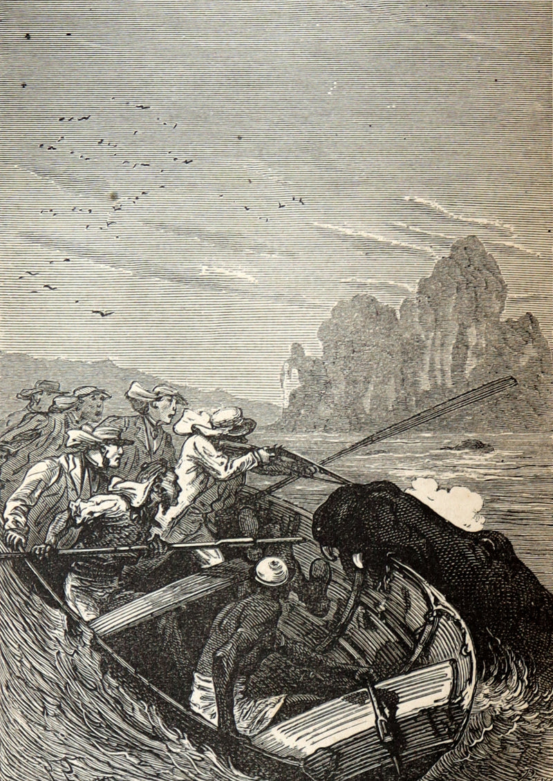 1874 First US Edition - Meridiana or Adventures in South Africa by Jules Verne