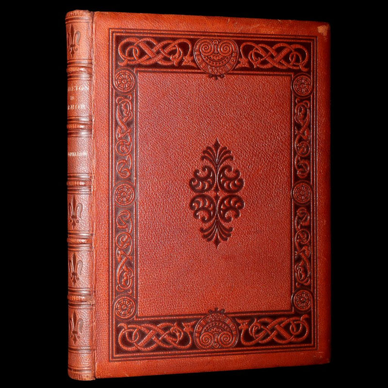 1877 Rare Book - The Skeleton in Armor, Norse Warrior Adventures by Longfellow