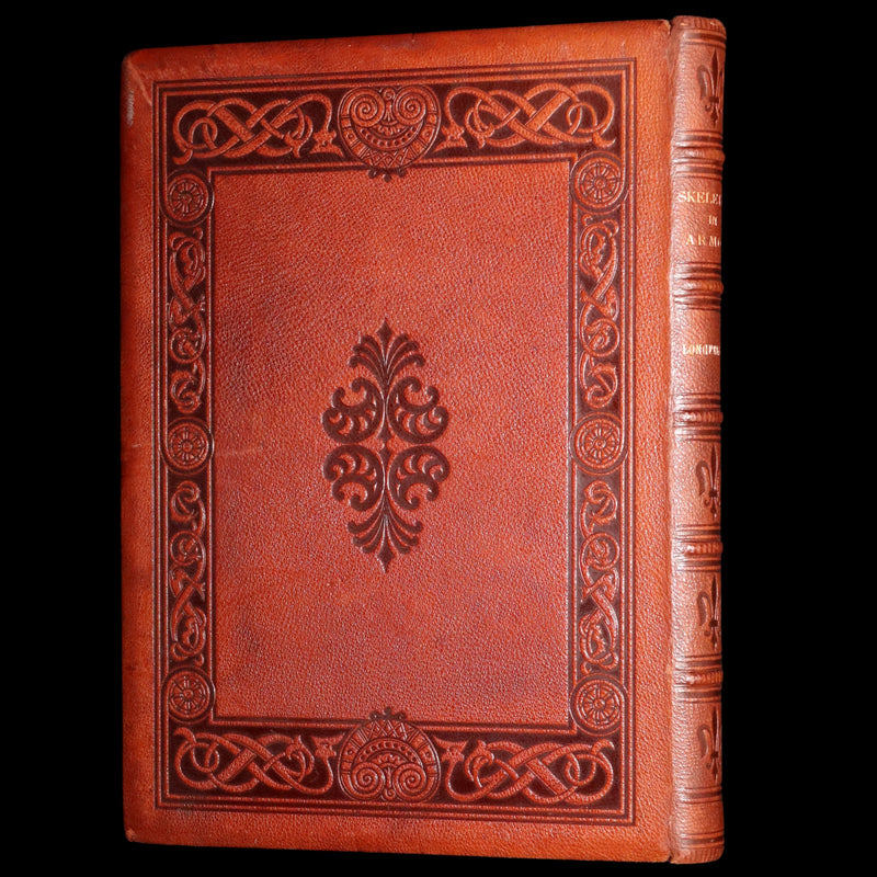 1877 Rare Book - The Skeleton in Armor, Norse Warrior Adventures by Longfellow