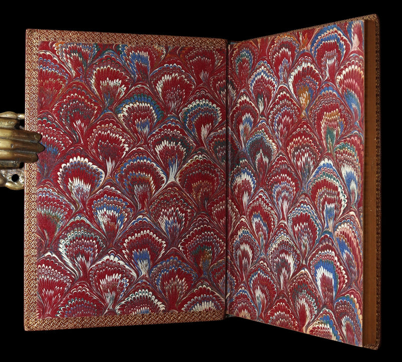 1877 Rare Book - The Skeleton in Armor, Norse Warrior Adventures by Longfellow