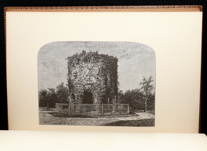 1877 Rare Book - The Skeleton in Armor, Norse Warrior Adventures by Longfellow