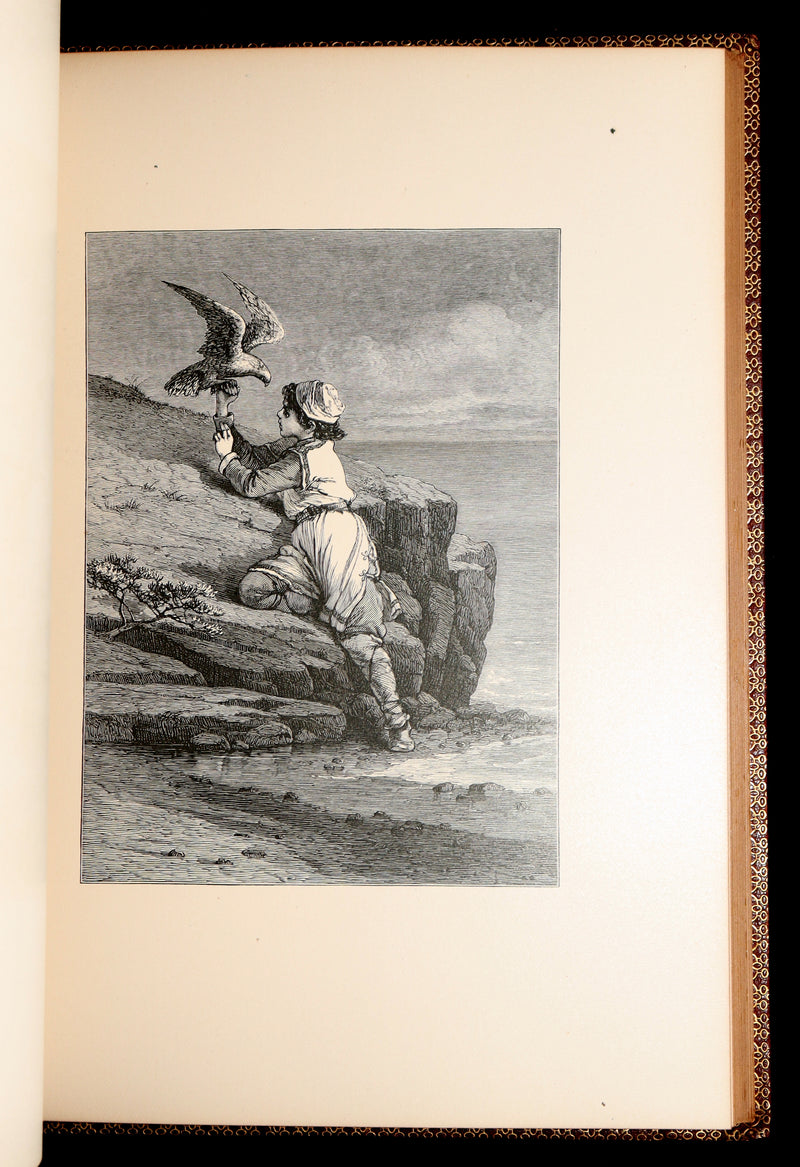 1877 Rare Book - The Skeleton in Armor, Norse Warrior Adventures by Longfellow