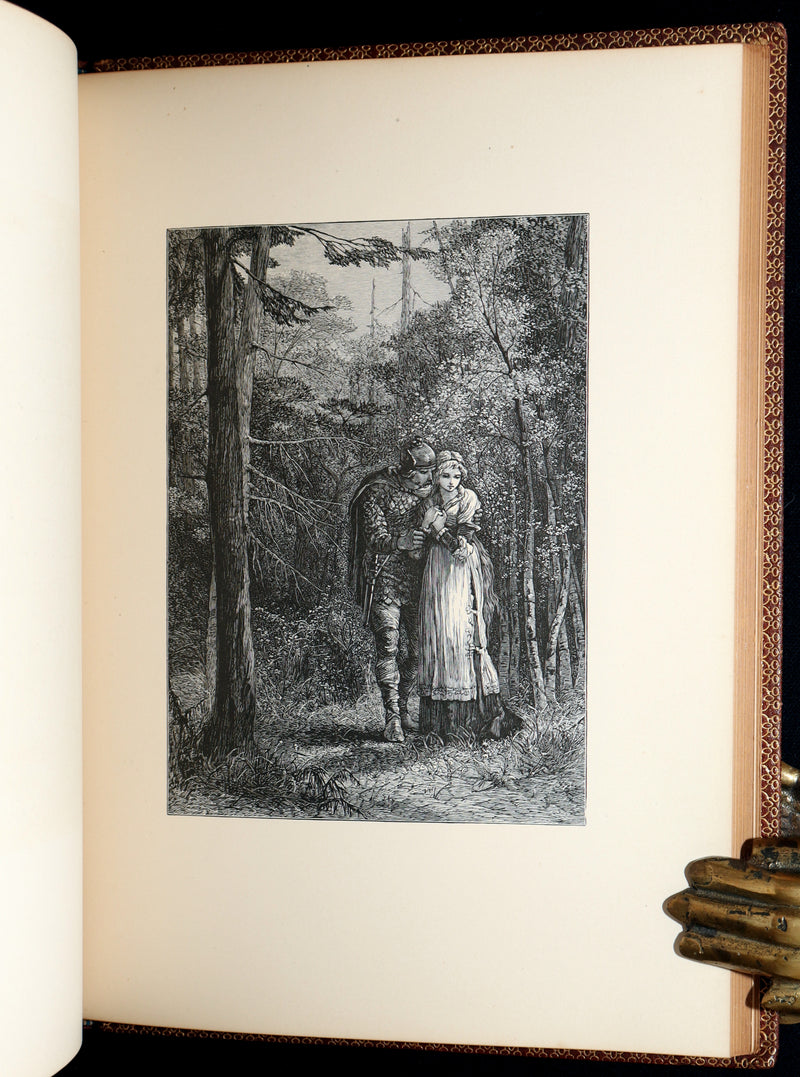 1877 Rare Book - The Skeleton in Armor, Norse Warrior Adventures by Longfellow