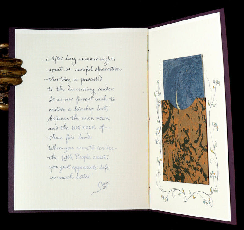 2023 Rare Signed First Edition - Will O' The Wisps by Charles van Sandwyk