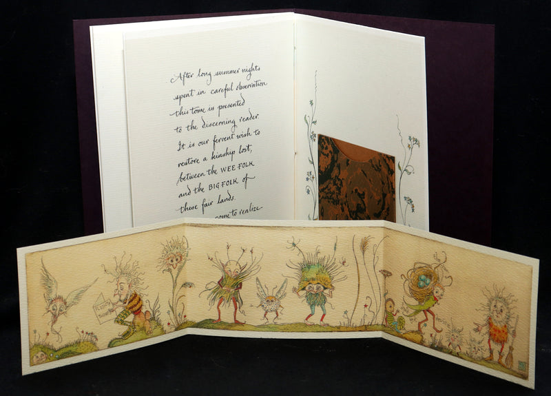 2023 Rare Signed First Edition - Will O' The Wisps by Charles van Sandwyk