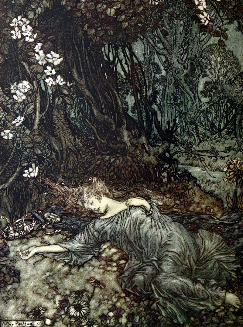 1908 First Edition Illustrated by Rackham - Shakespeare Midsummer Night's Dream