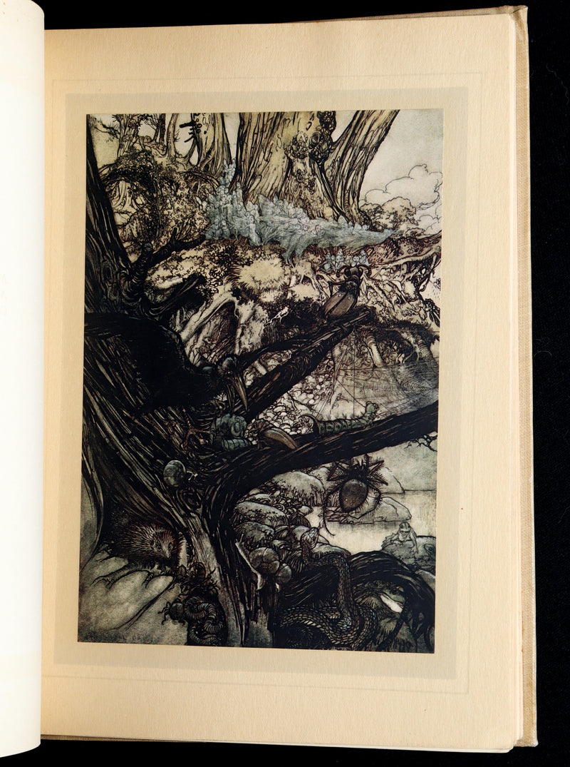 1908 First Edition Illustrated by Rackham - Shakespeare Midsummer Night's Dream