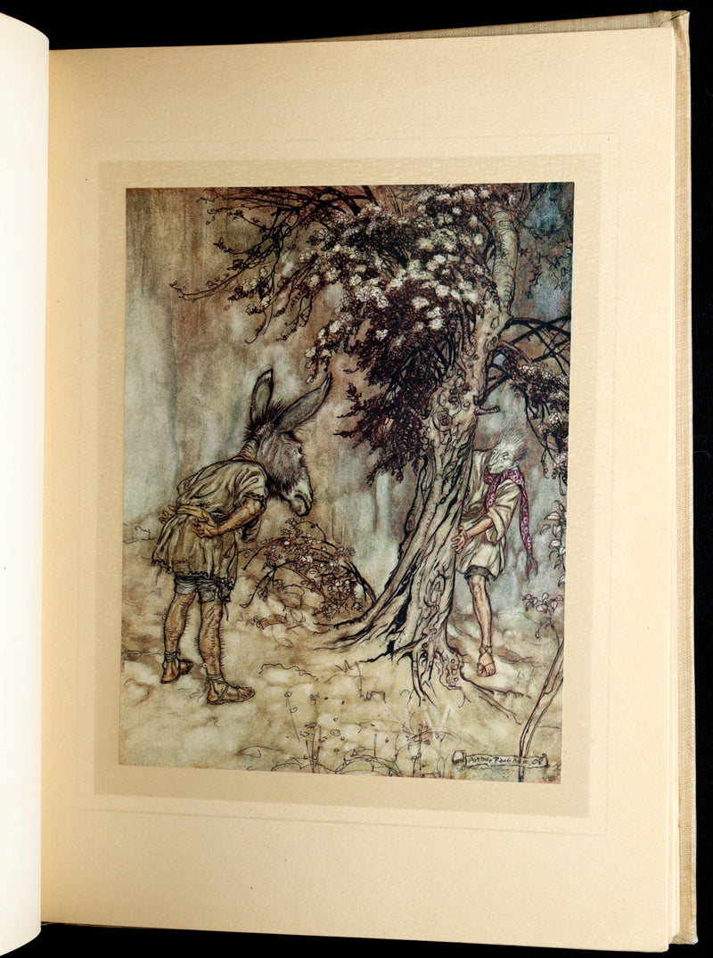 1908 First Edition Illustrated by Rackham - Shakespeare Midsummer Night's Dream