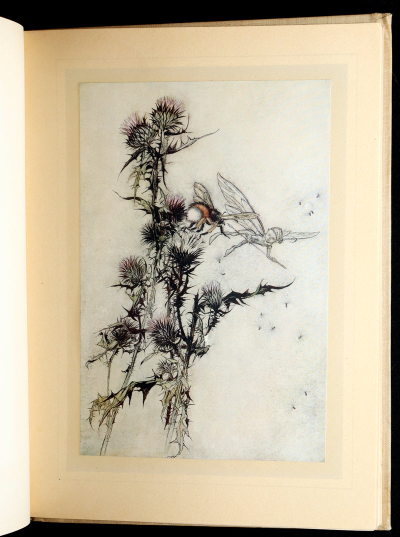 1908 First Edition Illustrated by Rackham - Shakespeare Midsummer Night's Dream