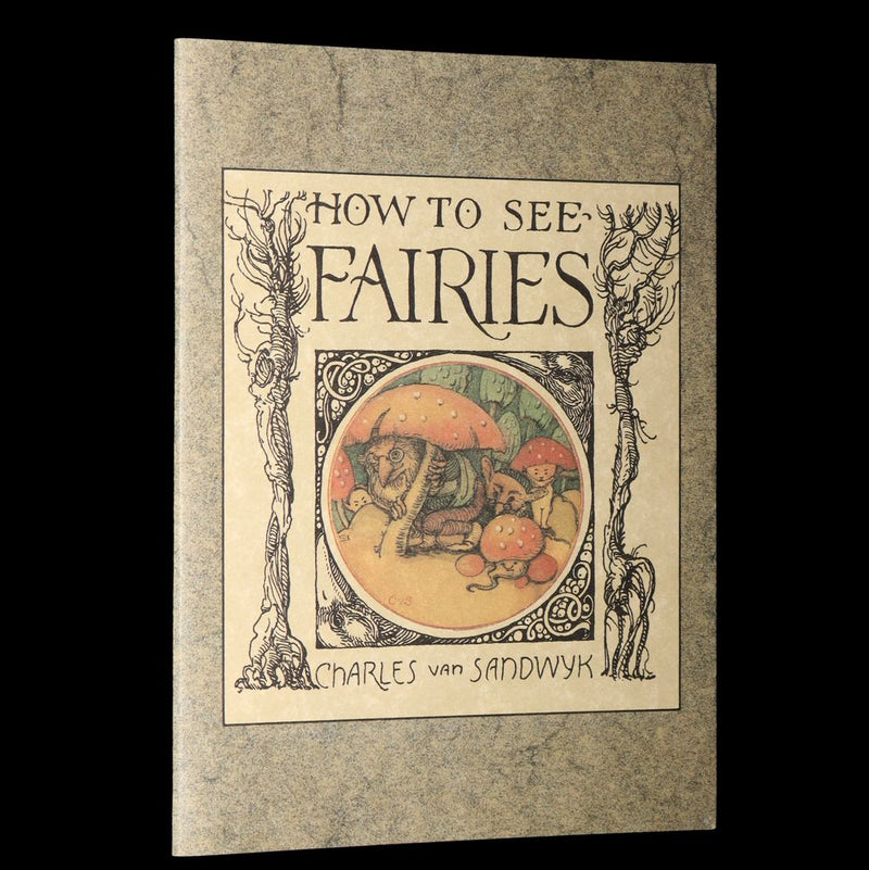 1993 Scarce First Edition- How to See Fairies by Charles van Sandwyk + Bookmark