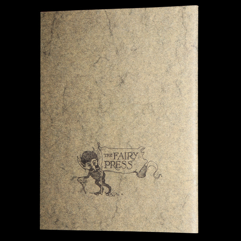 1993 Scarce First Edition- How to See Fairies by Charles van Sandwyk + Bookmark