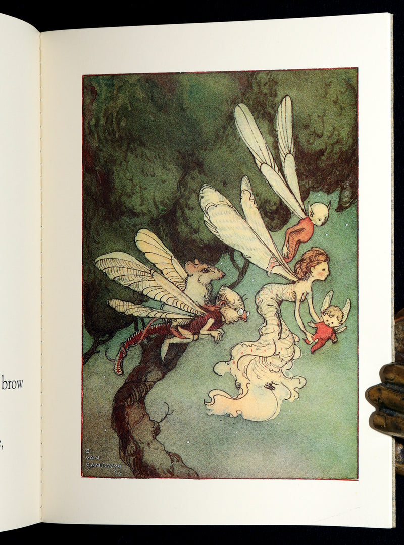1993 Scarce First Edition- How to See Fairies by Charles van Sandwyk + Bookmark