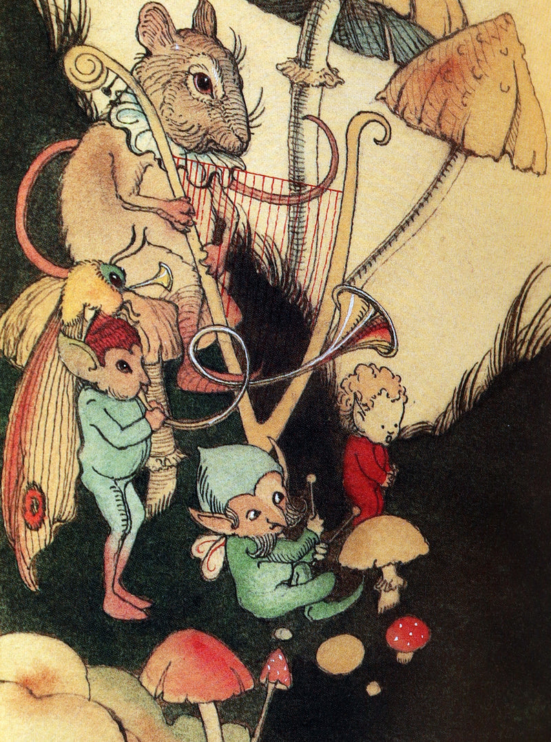 1993 Scarce First Edition- How to See Fairies by Charles van Sandwyk + Bookmark